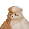 Grizbo