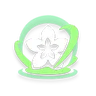 Healing Rose