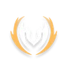 Enhanced Light Blade
