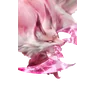 Glynsera
